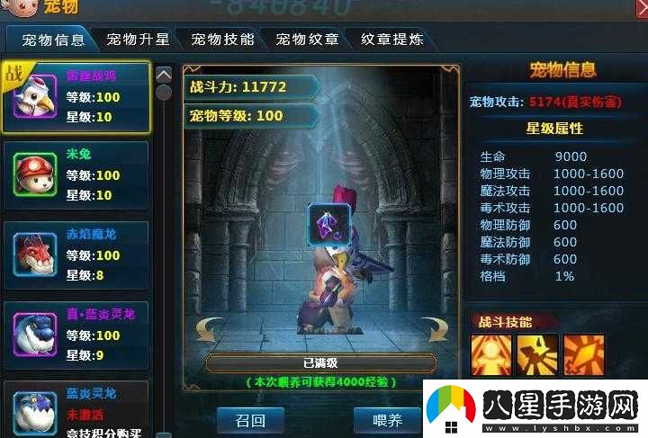 魔龍勇士之寵物系統簡(jiǎn)述