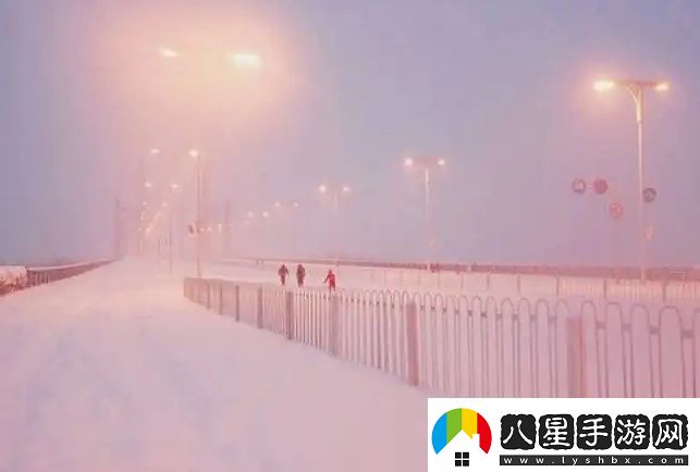 精華液一區二區區別的全面解析與購物指南