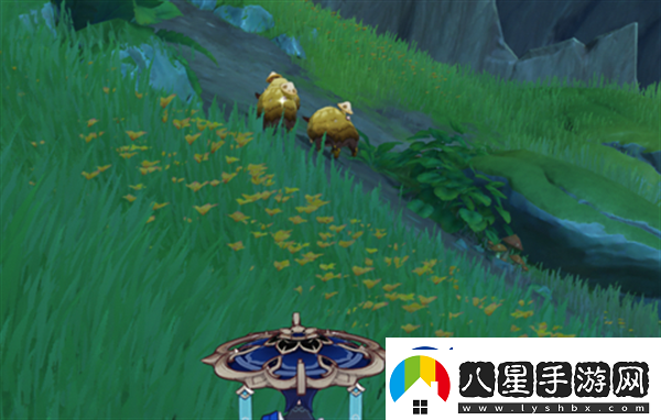 原神與珍稀之鳥(niǎo)的短暫邂逅任務(wù)完成技巧