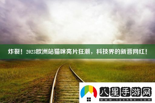 炸裂！2023歐洲站貓咪亮片狂潮科技界的新晉紅！