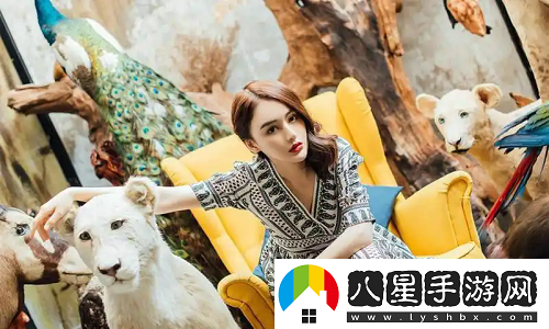 免費站在線(xiàn)觀(guān)看人數最多的省份