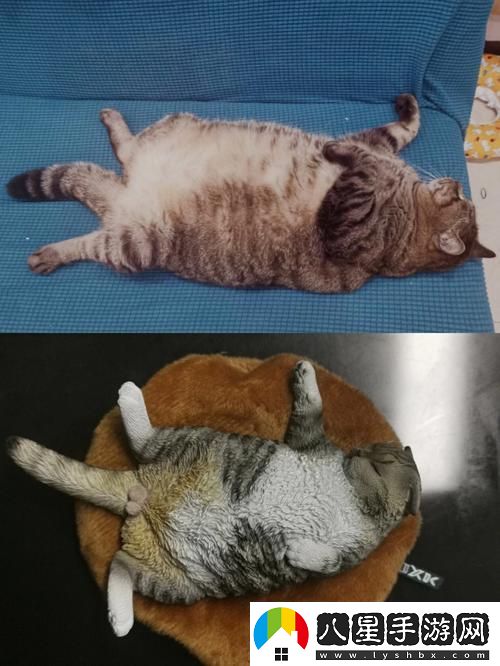 瘋狂科技潮！除了柚子貓和玩偶