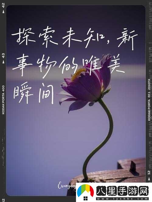成免費