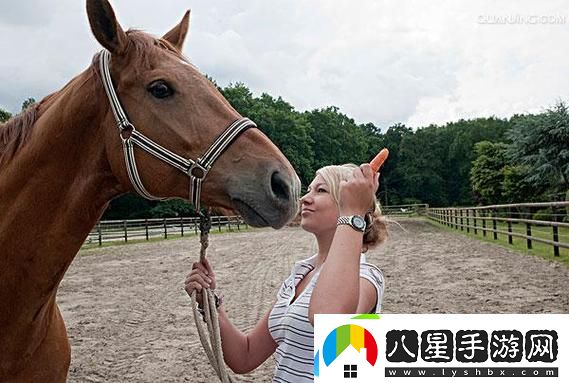 種陰歷莖長(cháng)度是多少