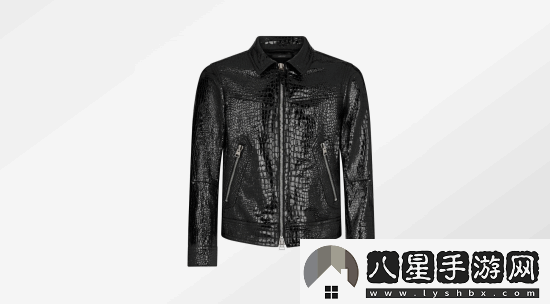 黃仁勛新皮衣超帥！價(jià)格曝光