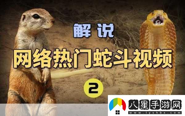 最近中文字幕2019視頻1“2019年最新熱門(mén)視頻大盤(pán)點(diǎn)精彩不容錯過(guò)！”