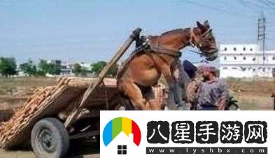 人馬畜禽共性關(guān)系對生態(tài)平衡及人類(lèi)發(fā)展的重要意義