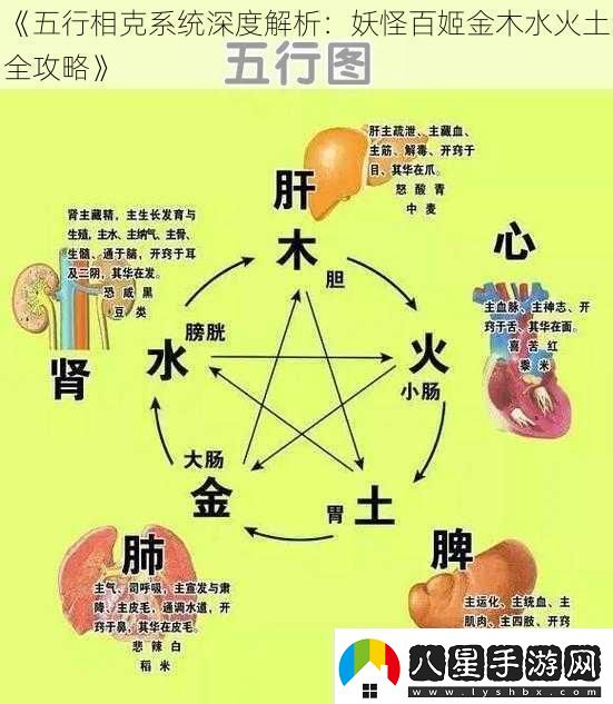 五行相克系統深度解析
