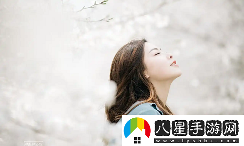 歐亞尺碼專(zhuān)線(xiàn)免費服務(wù)2024跨境電商賣(mài)家的新機遇