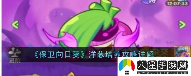 保衛向日葵洋蔥怎么培養